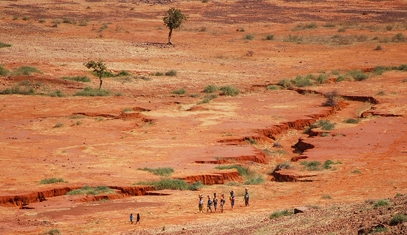 Paysage du Sahel - © Daniel Tiveau/CIFOR