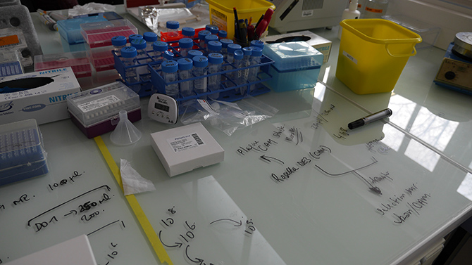 Laboratoire de l’équipe de Damien Baigl