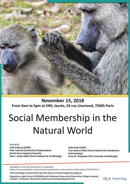 affiche-natural-world