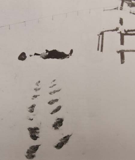 robert_walser