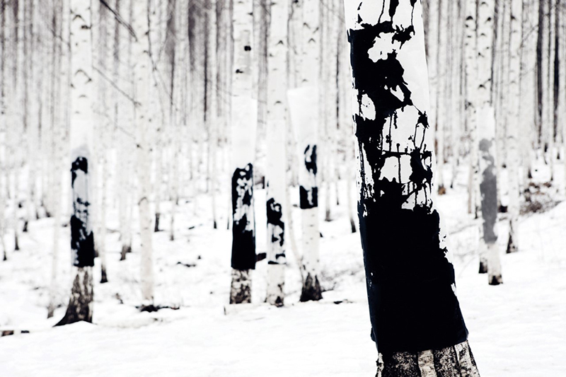 gu_mokyoung_paysages_de_neige