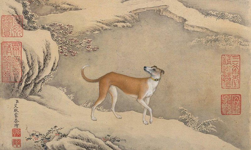 Ignaz Sichelbarth (艾启蒙)：Ru-Huang-Bao, tiré de Dix beaux chiens (十骏犬图册之茹黄豹), © Musée du palais, Pékin