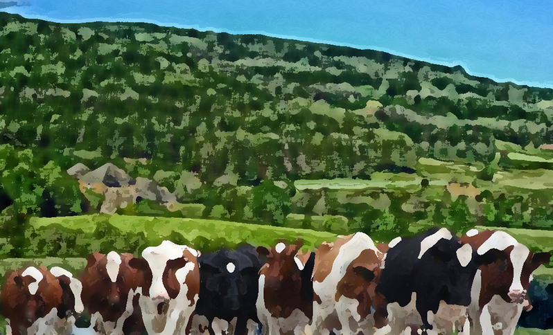 Illustration vaches_peinture - journée les natures de l'Europe