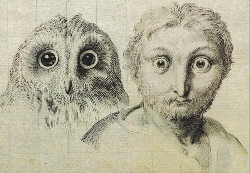 Trois têtes d'hommes en relation avec le chat-huant  Le Brun Charles (1619-1690) Photo (C) RMN-Grand Palais (musée du Louvre)