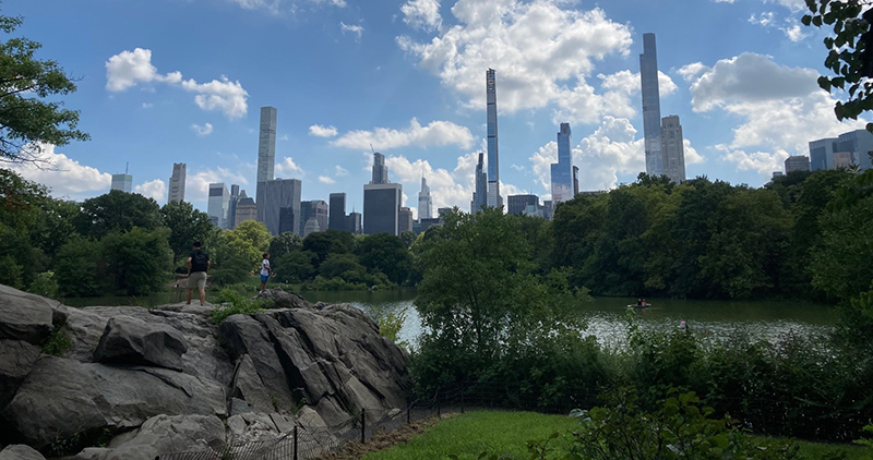 Séminaire de recherche - nature et New York
