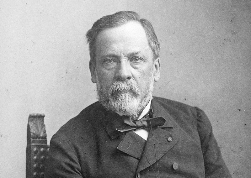 Louis Pasteur 