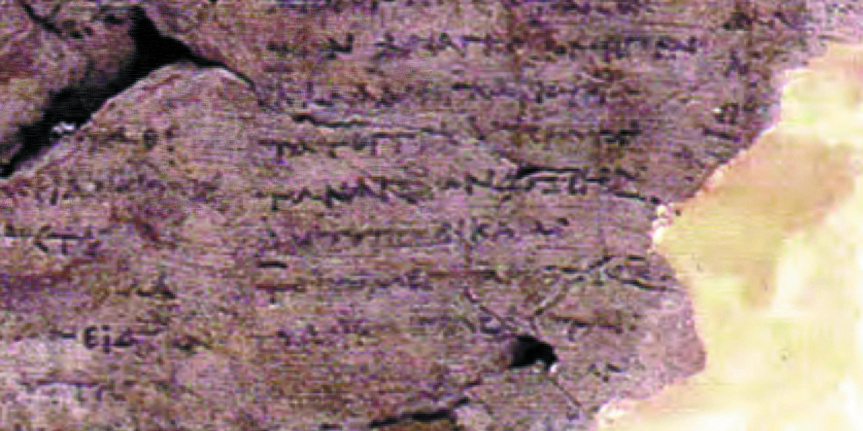 Humanities in the text : ENS, Paris Sciences & Lettres & CHS Harvard Joint Initiative 