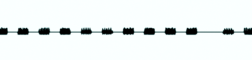 audition illusion