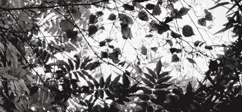 couv-voter-autrement-web