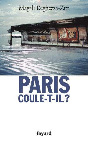 Couverture de Paris coule-t-il