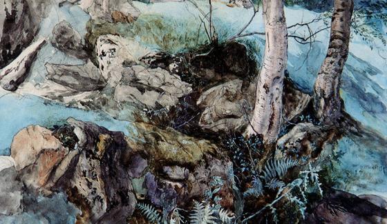 Rocks and Ferns in a Wood at Crossmount, Perthshire John Ruskin 1847 Lakeland Arts - Abbot Hall Art Gallery and Museum Kendal, Royaume-Uni