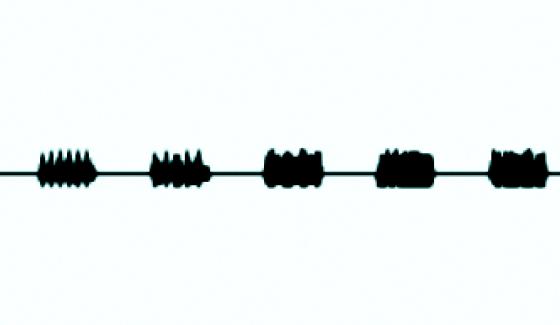 Audition_illusion