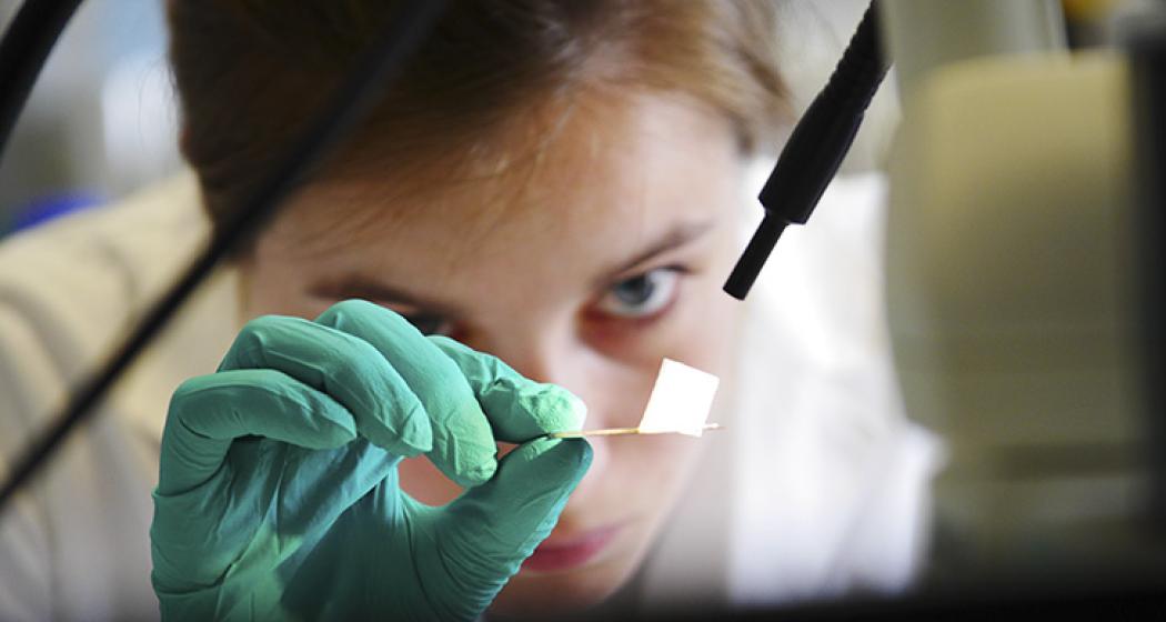 Femmes et Filles de sciences de l'ENS