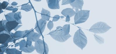 Centre Pour la Recherche et ses Applications (CEPREMAP)