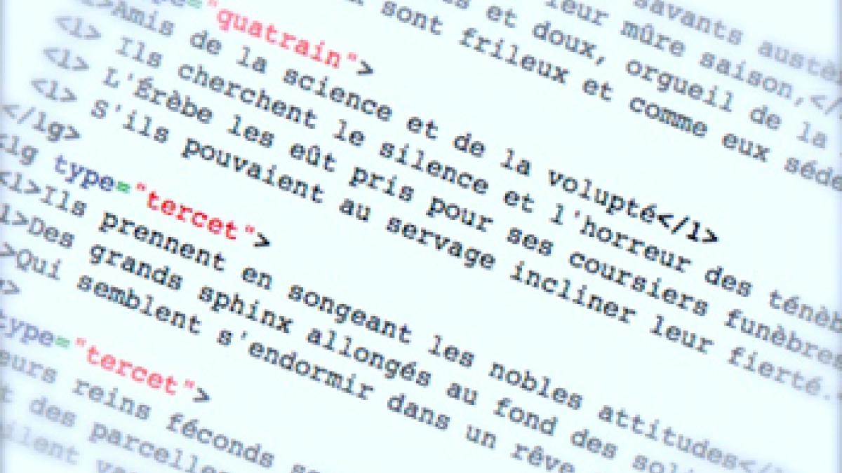 Formation informatique : Texte Brut